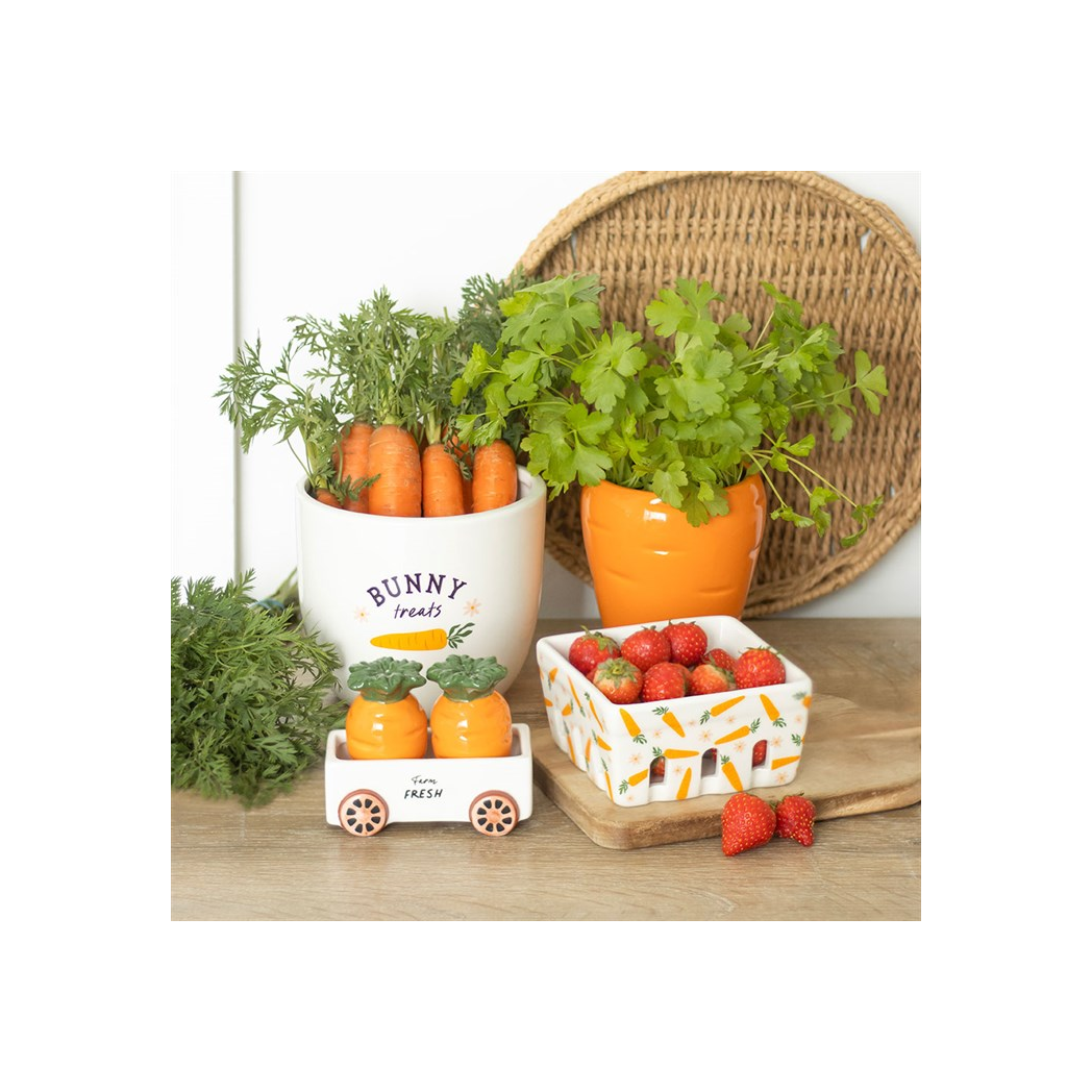 Carrot Shaped Plant Pot with Parsley Seed Balls