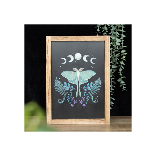 Luna Moth Wooden Framed Wall Art