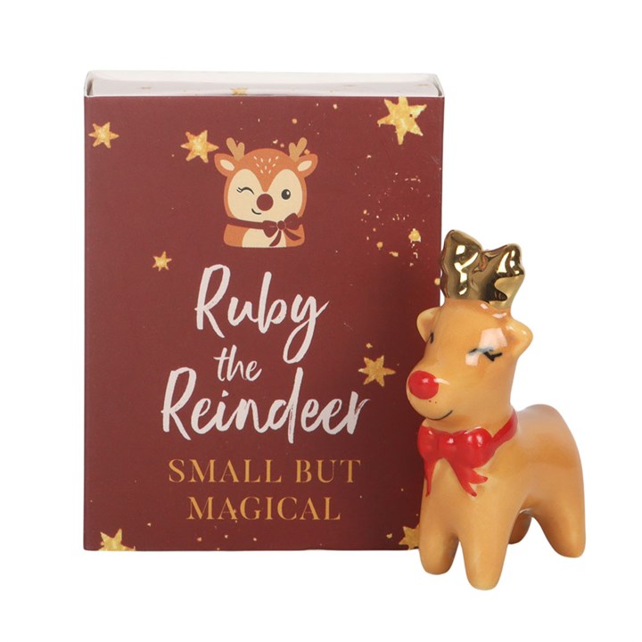 Set of 24 Ruby the Reindeer Pocket Charms in Display