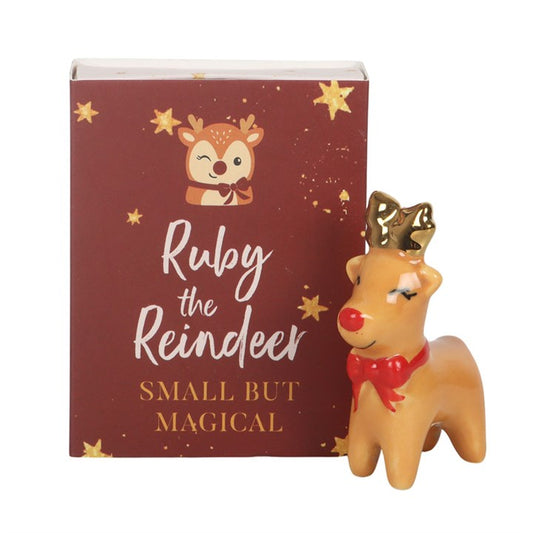 Set of 24 Ruby the Reindeer Pocket Charms in Display
